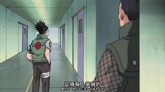 鹿丸爆料在哪里看到的视频,揭秘神秘视频来源之谜